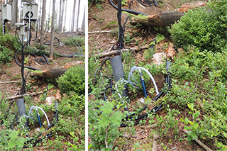 Messtelle für Bodenhydrologie, Foto: Lisa Rommel TU Dresden 2019