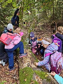 Mehrere Kinder spielen im Wald um und auf einem liegenden Baumstamm 