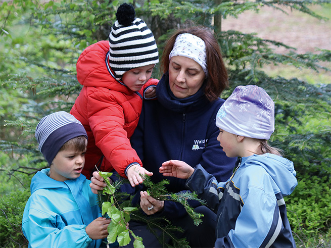 Drei Kindergarten-Kinder ertasten Zweige von Buche, Tanne und Fichte