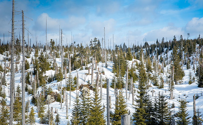 >Winterliche Nationalpark-Hochlagen