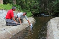 Was versteckt sich hinter der Forschungsstation Taferlruck? Beim digitalen Videorundgang geben darauf unter anderem Ludwig Höcker (links) und Burkhard Beudert Antworten. (Foto: Gregor Wolf/Nationalpark Bayerischer Wald)