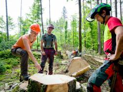 Fühlt sich in ihrer Mannschaft wohl: Försterin Silvia Pflug. (Foto: Daniela Blöchinger / Nationalpark Bayerischer Wald)