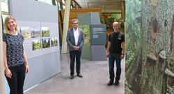 Freuten sich über die gelungene Waldentwicklungsausstellung: Lisa Ornezeder, stellvertretende Leiterin vom Haus zur Wildnis (von links), Nationalparkleiter Dr. Franz Leibl und Achim Klein, Leiter vom Haus zur Wildnis. Foto: Gregor Wolf