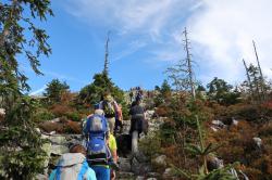 Der Besucherandrang auf den Gipfeln, wie hier auf dem Lusen, nahm in Corona-Zeiten weiter zu. Foto: Florian Porst