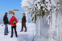 Ranger informieren Besucher im Winter täglich über die wilde Natur im Nationalpark - und über die Regeln zum schutz der sensiblen Tier- und Pflanzenwelt. Foto: Gregor Wolf