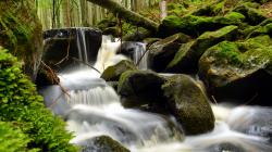 Bis zu 30 Prozent weniger Wasser als noch vor 20 Jahren gelangt über Bäche in die Täler. Foto: Thies Hinrichsen