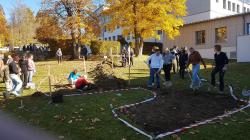 Das Gymnasium Freyung hat auf dem Schulgelände neben einem Ameisen-Freigelände auch eine Sukzessions-Fläche angelegt. (Fotos: Schulen)