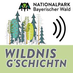 Bei der Hörwander-Serie geht es auf verschiedenen Etappen quer durch den Nationalpark.