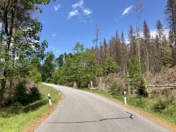 Verkehrssicherungsmaßnahmen finden im Nationalpark nicht nur an Straßen statt, sondern auch dort, wo viele Besucher sind.