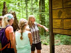 Waldführer begleiten den Großteil der Nationalpark-Führungen.