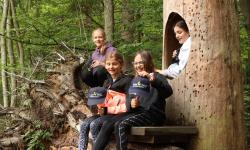 Die diesjährigen Junior Ranger erklären alles Wissenswerte zum Specht. (Foto: Nationalpark Bayerischer Wald)