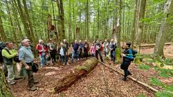 Nationalparkleiterin Ursula Schuster erklärte der Gruppe aus Oberfranken und ihrem Gast, Staatsminister Hubert Aiwanger, die natürliche Waldentwicklung entlang des Rundwegs Flusskrebs bei Neuschönau. (Foto: Nationalpark Bayerischer Wald)