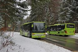 Winterigelbusse am Nationalparkzentrum Lusen. Foto: Gregor Wolf