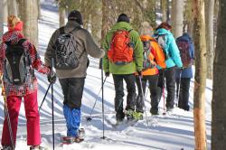 Winterliche Wanderungen sollten aufgrund von teilweise vereisten Wegen mit Grödel oder Schneeschuhen unternommen werden. Foto: Gregor Wolf