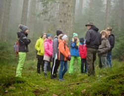 ... nicht nur Einblicke in die Nationalpark-Forschung, ...