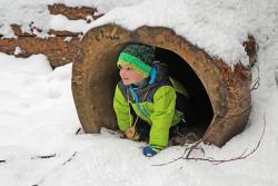 Im großen Entdeckerareal bei Spiegelau kann auch in manchen Baumstamm gekraxelt werden. Foto: Gregor Wolf