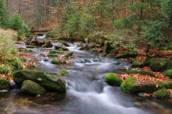 Das klare Bergwasser im Sagwasser rauscht gerade kurz nach Regenfällen in beachtlichen Mengen gen Tal. Foto Rainer Simonis