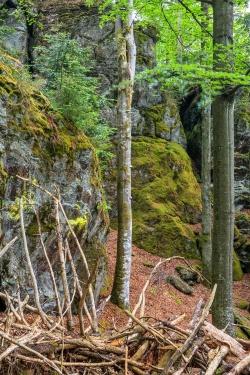 Auf dem Weg vom Sagwasser zurück zum Nationalparkzentrum Lusen kommt man auch an einigen imposanten Felsformationen vorbei. Foto: Rainer Simonis