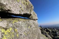 Landkartenflechte (Foto: Gregor Wolf / Nationalpark Bayerischer Wald)