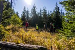 Von Hinterfirmiansreut führt die grenzüberschreitenden Tour zu den Heidensteinen in Oberlichtbuchet. (Foto: Woidlife Photography/Nationalpark Bayerischer Wald)