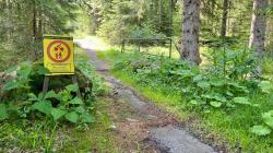 Das Fundament der Brücke auf dem Radweg 98 ist marode, daher war eine Sperrung notwendig. (Foto: Nationalpark Bayerischer Wald)