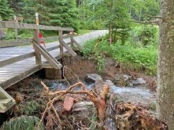 Die Brücke über die Große Deffernik im Ferdinandsthal ist aktuell gesperrt. (Foto: Nationalpark Bayerischer Wald)