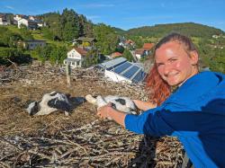 Alina Rudolf beim Beringen der beiden Jungvögel. (Foto: Lukas Laux/Nationalpark Bayerischer Wald)