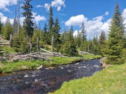 Entlang des Maderbachs geht es am 30. Juni nach Modrava und dann weiter zum Poledník. (Foto:  Nationalpark Bayerischer Wald)