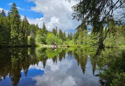 Auf der Wanderung wird auch an der Kreuzbachklause Halt gemacht. (Foto: Ludwig Breitenfellner)