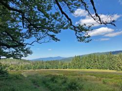 Die Einsamkeit der Hochlagen steht bei der mehrtägigen Wanderung im Fokus. (Foto: Nationalpark Bayerischer Wald)