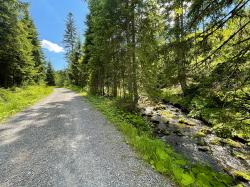 Die beeindruckende Natur im Nationalpark Šumava können Teilnehmer bei einer Tour am 14. Juli erkunden. (Foto: Sandra Schrönghammer/Nationalpark Bayerischer Wald)