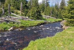 "Wildes Wasser im Böhmerwald" lautet der Titel der grenzüberschreitenden Führung am 14. Juli. (Foto: Nationalpark Bayerischer Wald)