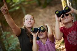 Wilde Wälder, rauschende Bäche und starke Musik, können Kinder und Jugendliche in den Sommerferien im Nationalpark Bayerischer Wald erleben. (Foto: www.bayern.by – Jan Greune)