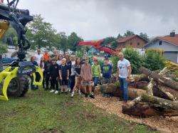 Die Mitarbeiter der Nationalparkdienststelle Riedlhütte ordneten unter den staunenden Blicken der Schüler die schweren Totholz-Stämme im Schulgarten an. (Foto: Nicole Graf/ Nationalpark Bayerischer Wald)