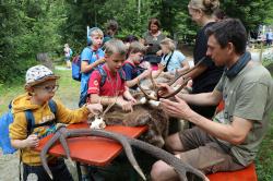 Wie fühlt sich ein Reh an? Das konnten die Besucher beim Tag für Menschen mit Behinderung erfahren. (Fotos: Nationalpark Bayerischer Wald)