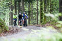 Gemeinsam grenzüberschreitend in die Pedale treten ist am 4. August möglich. (Foto: Nationalpark Bayerischer Wald)