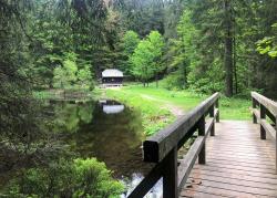 Von Scheuereck zur malerischen Höllbachschwelle führt die Wanderung mit Nationalparkmitarbeiter Johannes Dick. (Foto: Sandra Schrönghammer/Nationalpark Bayerischer Wald)