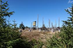 Herrliche Ausblicke ermöglicht der Aussichtsturm auf dem Polednik im Nationalpark Šumava, das Ziel einer geführten Tagestour ab Buchenau. (Foto: Nationalpark Bayerischer Wald)