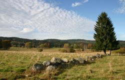 Wiesen und ehemalige Weiden zeugen noch heute von der Siedlungsgeschichte im Nationalpark Sumava. (Foto: Josef Stemberk/Nationalpark Bayerischer Wald)