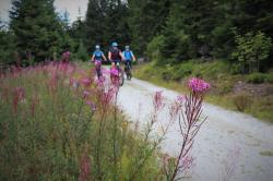 Bei einer grenzüberschreitenden Radtour geht es am Sonntag zum idyllischen Lakasee. (Foto: Nationalpark Bayerischer Wald)