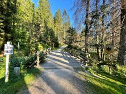 Ab Ende August wird die Brücke beim Grenzübergang Ferdinandsthal saniert. (Foto: Nationalpark Bayerischer Wald)