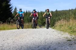 Bei einer grenzüberschreitenden Radtour zur Burgruine Wittinghausen erfahren Teilnehmer Interessantes zu Natur und Geschichte der Nationalparkregion. (Foto: Andreas Stumpp/Nationalpark Bayerischer Wald)