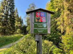 Über Ferdinandsthal und den Polom wandert Waldführer Bernhard Bullermann am Sonntag nach Železná Ruda. (Foto: Nationalpark Bayerischer Wald)