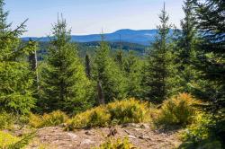 Spannende Geschichten und schöne Ausblicke warten bei einer geführten Wanderung über den Siebensteinkopf am 15. September. (Foto: Woidlife Photography /Nationalpark Bayerischer Wald)