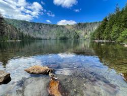 Ein Ziel der geführten grenzüberschreitenden Radtour ist der malerische Schwarze See. (Foto: Nationalpark Bayerischer Wald)