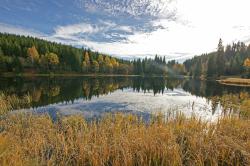 Zu einer der schönsten Schwellen im Böhmerwald, der Scheuerecker Schwelle, führt die grenzüberschreitende Tagestour am 29. September. (Foto: Nationalpark Bayerischer Wald)