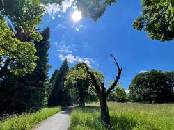 Die Natur im Nationalpark Šumava können die Teilnehmer der Radtour am 6. Oktober genießen. (Foto: Sandra Schrönghammer/Nationalpark Bayerischer Wald)