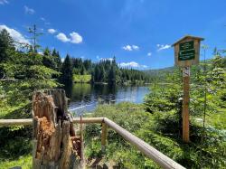 Das Eiszeitrelikt Lakasee lockt Wanderfreunde mit seiner wildromantischen Kulisse. (Foto: Nationalpark Bayerischer Wald)