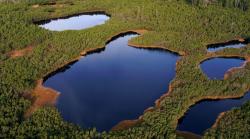 Mooraugen im Nationalpark Šumava. (Foto: Nationalpark Šumava)