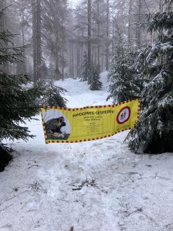 Banner weisen Besucher auf die Sperrung des Wanderweges durch das Höllbachgespreng hin. (Foto: Reinhold Gaisbauer / Nationalpark Bayerischer Wald)